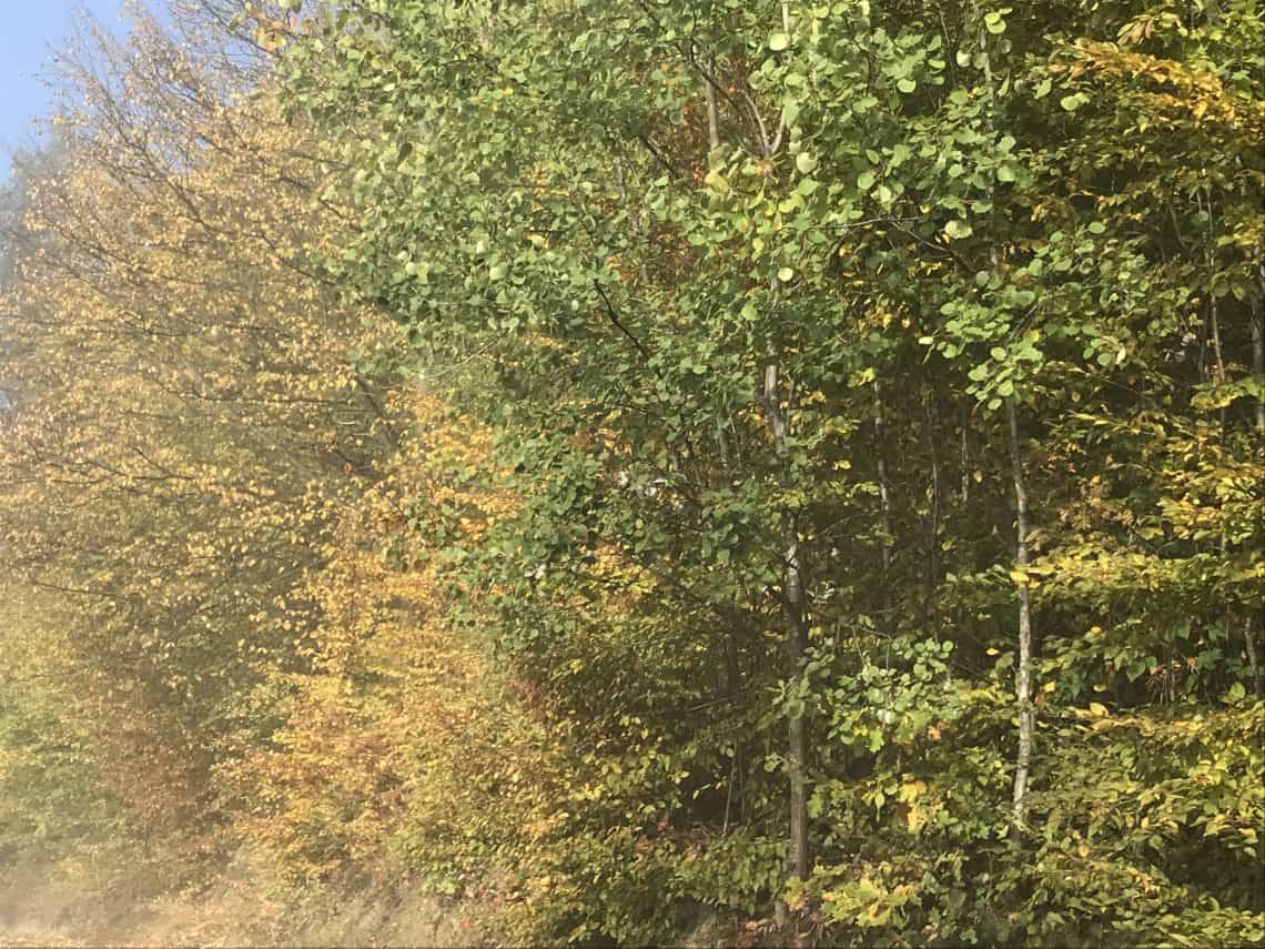 de kleuren in de herfst in Polen