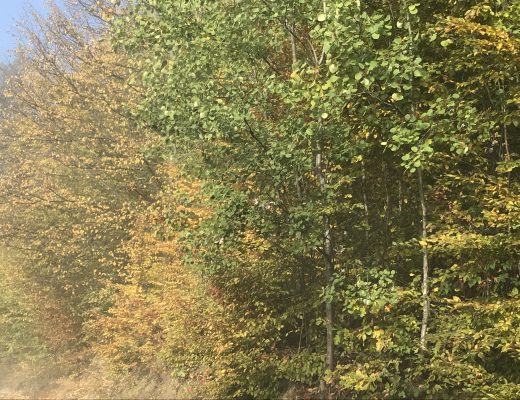 de kleuren in de herfst in Polen